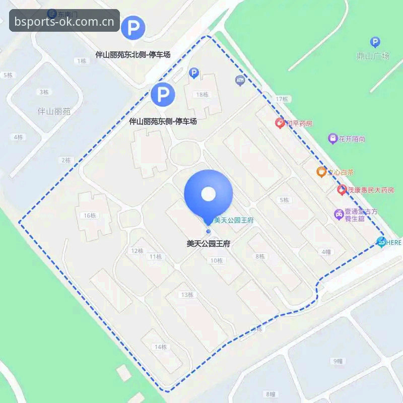 安全登录入口使用指南 B体育平台安全登录入口完整指南:从选择到使用,一步到位